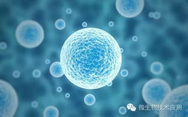 陳春麟博士受邀參加第五屆眼疾病和藥物開發(fā)會議