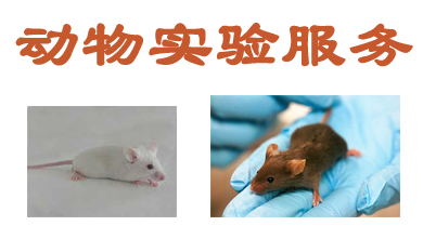 動(dòng)物實(shí)驗(yàn)服務(wù) 動(dòng)物實(shí)驗(yàn)服務(wù)