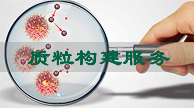 質(zhì)粒構(gòu)建服務(wù) 質(zhì)粒構(gòu)建服務(wù)