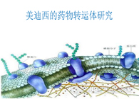 美迪西的藥物轉(zhuǎn)運體研究