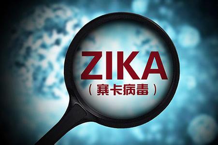 中國科學(xué)家寨卡病毒藥物靶點研究獲新突破