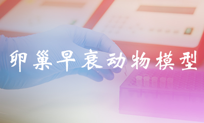 卵巢早衰動(dòng)物模型