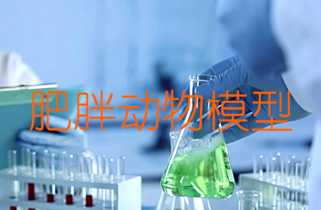 肥胖動(dòng)物模型建立
