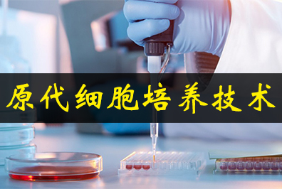 原代細胞培養(yǎng)技術(shù) 原代細胞培養(yǎng)技術(shù)