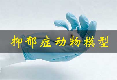 抑郁癥動(dòng)物模型