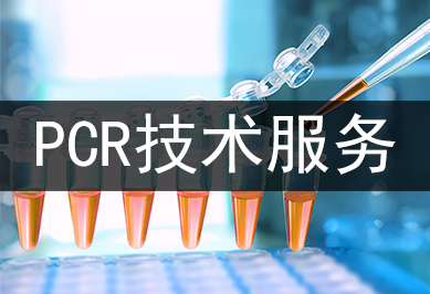 PCR技術(shù)服務(wù)及其運(yùn)用