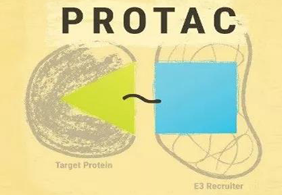 熱點(diǎn)前沿:PROTAC初露鋒芒，SD-36對(duì)抗腫瘤效果卓越