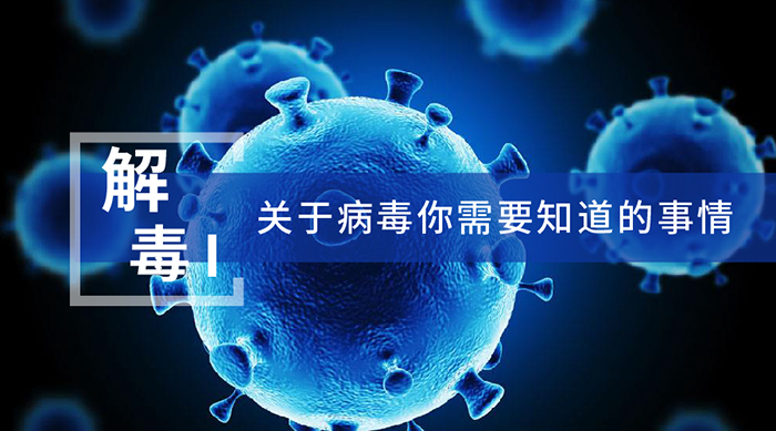 關于病毒你需要知道的事情 