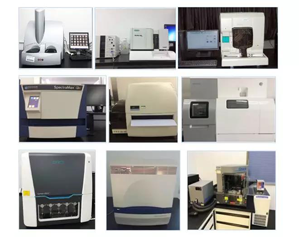 美迪西生物技術(shù)藥物分析部門擁有SpectraMaxM4/M5/i3x, MSD, Luminex, Biacore 8K, Envision, Gyrolab，ABI7500 qPCR等全方位多功能的技術(shù)平臺(tái)，利用LIMS系統(tǒng)實(shí)施全面的實(shí)驗(yàn)室信息化管理，提供全面符合FDA/CFDA/OECD GLP規(guī)范要求的生物技術(shù)藥物分析服務(wù)。