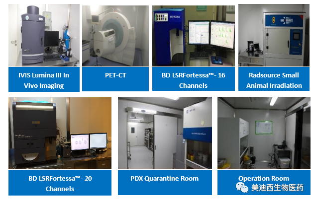 美迪西藥理部擁有IVIS Lumina III, PET-CT, BD LSRFortessa-16, Flow Cytometry等儀器,提供符合申報,支持臨床試驗(yàn)的藥效評價服務(wù)。