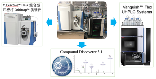 美迪西UHPLC-UV-QE HF-X系統(tǒng)