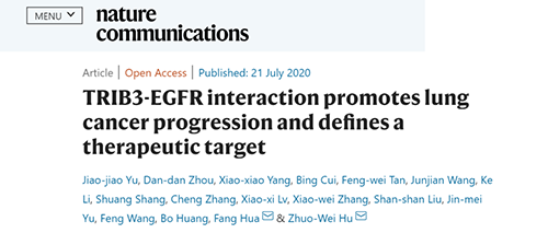 Nature|非小細(xì)胞肺癌治療新方案:靶向降解EGFR