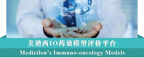 美迪西IO藥效模型評價平臺