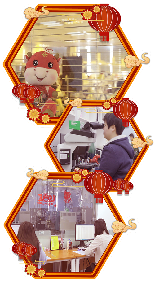 不負(fù)春光“加速跑”· 只爭(zhēng)朝夕“虎添翼”