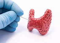 【Science速遞】揭開甲狀腺的神秘面紗，開啟代謝藥物新征程