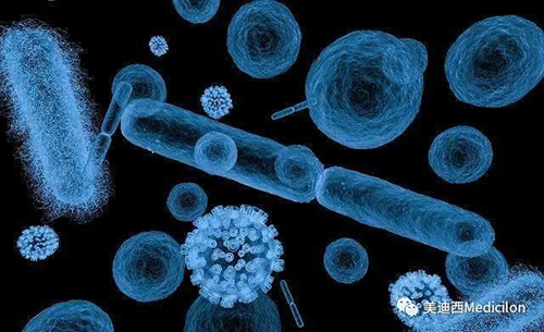 20分鐘，大多數(shù)細菌都可以繁衍一代 美迪西生物醫(yī)藥