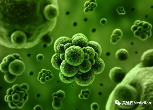 1分鐘，全中國就有7.5人被確診為患癌 美迪西生物醫(yī)藥