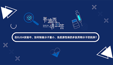 在ELISA實(shí)驗(yàn)，如何制備分子量小、免疫原性弱的多肽藥物分子的抗體？