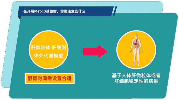 肝微粒體、肝細(xì)胞體外代謝模型中，孵育時間需設(shè)置合理.jpg