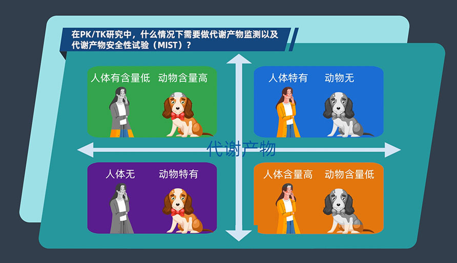 在PK-TK研究中，什么情況下需要做代謝產(chǎn)物監(jiān)測(cè)以及代謝產(chǎn)物安全性試驗(yàn)（MIST）