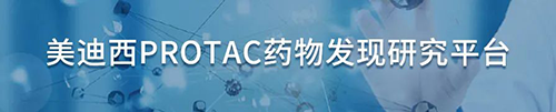 美迪西PROTAC藥物發(fā)現(xiàn)研究平臺(tái).png 美迪西PROTAC藥物發(fā)現(xiàn)研究平臺(tái).png