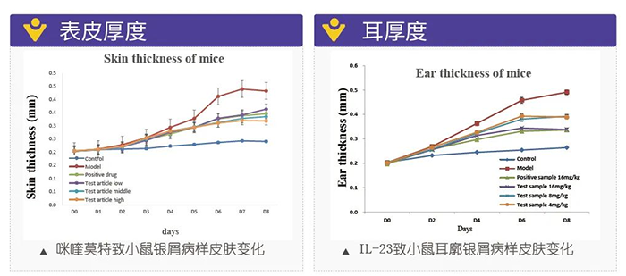 美迪西模擬銀屑病的建模模型-試驗(yàn)結(jié)果的指標(biāo).png 美迪西模擬銀屑病的建模模型-試驗(yàn)結(jié)果的指標(biāo).png