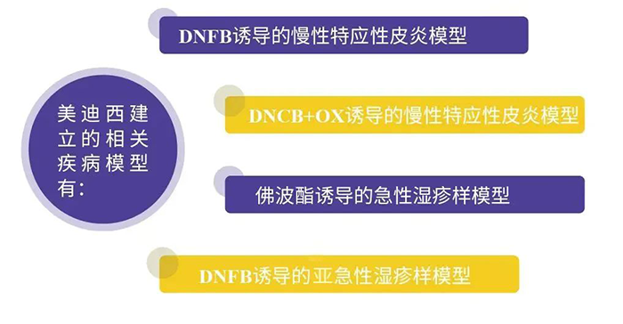 美迪西建立的特應(yīng)性皮炎模型.png 美迪西建立的特應(yīng)性皮炎模型.png