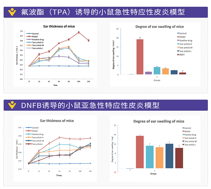 DNFB誘導(dǎo)的小鼠亞急性特應(yīng)性皮炎模型.png DNFB誘導(dǎo)的小鼠亞急性特應(yīng)性皮炎模型.png