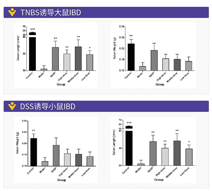 TNBS誘導(dǎo)的大鼠IBD和DSS誘導(dǎo)的小鼠IBD.png TNBS誘導(dǎo)的大鼠IBD和DSS誘導(dǎo)的小鼠IBD.png