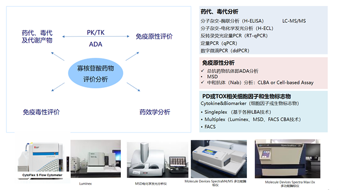 核酸藥物生物分析項(xiàng)目及涉及試驗(yàn)設(shè)備.png 核酸藥物生物分析項(xiàng)目及涉及試驗(yàn)設(shè)備.png