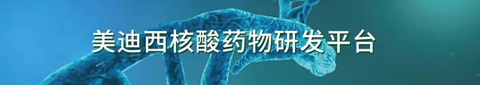 美迪西生物醫(yī)藥核酸藥物研發(fā)平臺(tái).jpg 美迪西生物醫(yī)藥核酸藥物研發(fā)平臺(tái).jpg