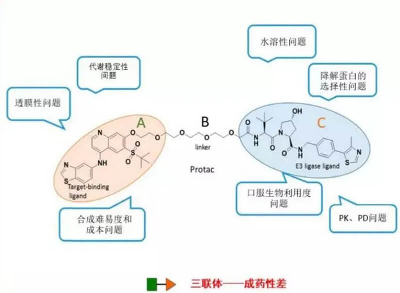 PROTAC分子量較大，溶解性較差.jpg