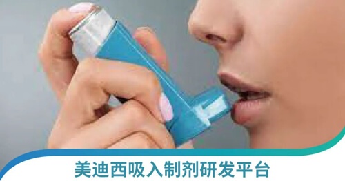 吸入制劑研發(fā)平臺(tái).jpg