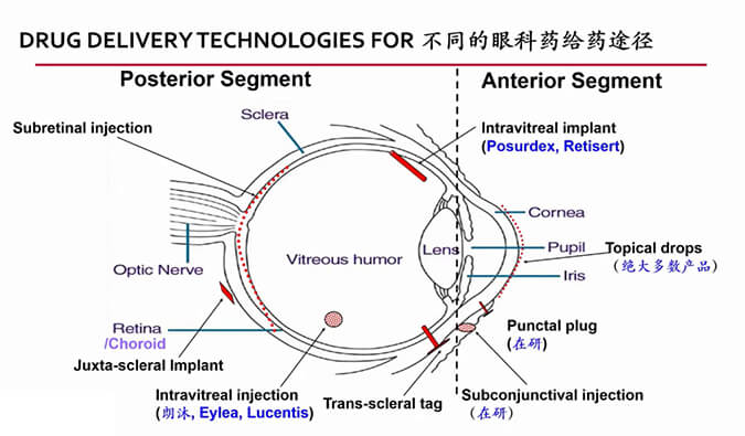 【內(nèi)附回放+下半場(chǎng)預(yù)約】美迪西眼科藥物專題研討會(huì)上半場(chǎng)精彩回顧
