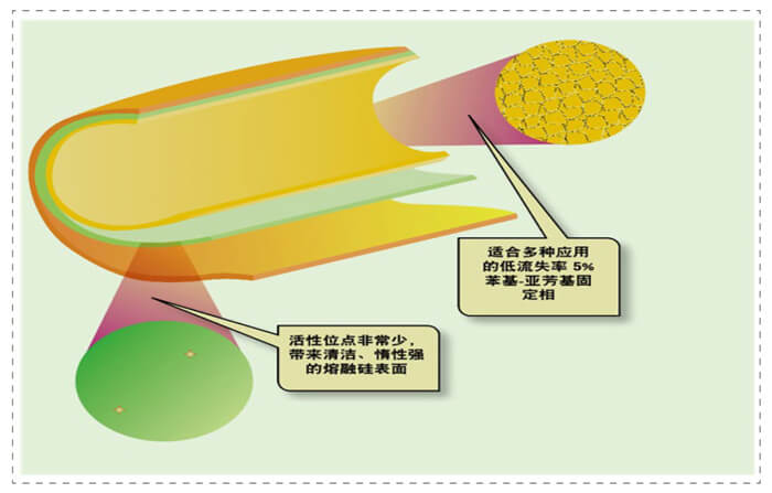 圖3-管壁涂漬開口柱內(nèi)表面未完全屏蔽的活性位點.jpg