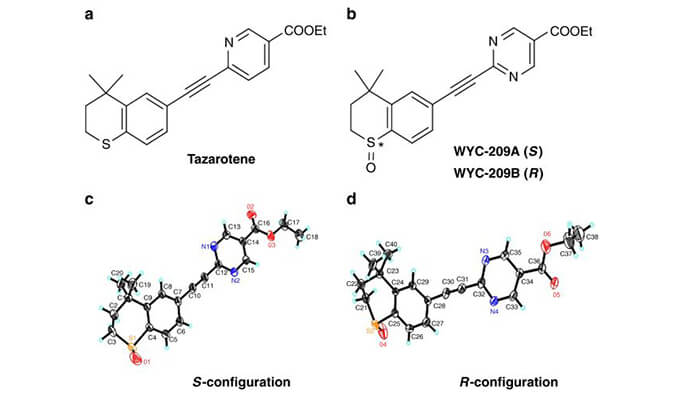 WYC-209可抑制惡性小鼠黑色素瘤腫瘤再生細(xì)胞增殖，本研究中SPR通過美迪西使用Biacore 8K進(jìn)行