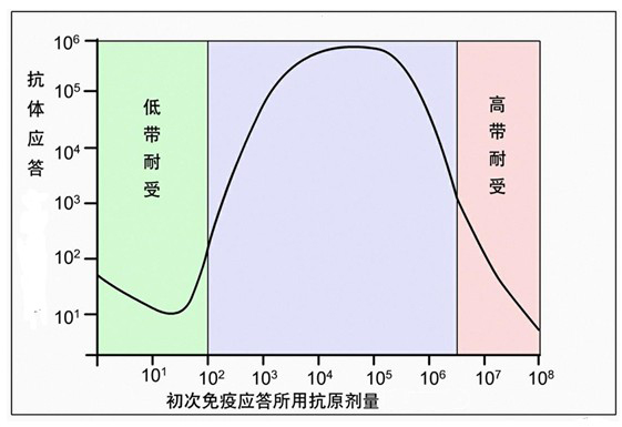 Figure-2-免疫應(yīng)答產(chǎn)生抗體依賴于初次免疫應(yīng)答所用抗原劑量.jpg