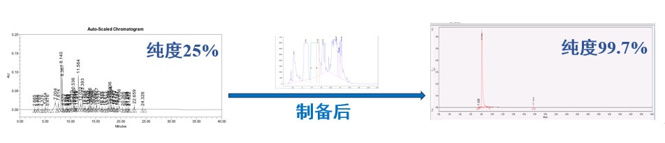 案例一：仿制藥發(fā)補：大極性雜質(zhì)制備.jpg