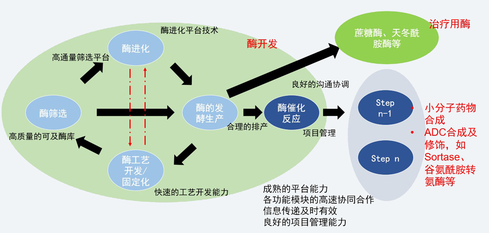 酶催化服務(wù)平臺.jpg