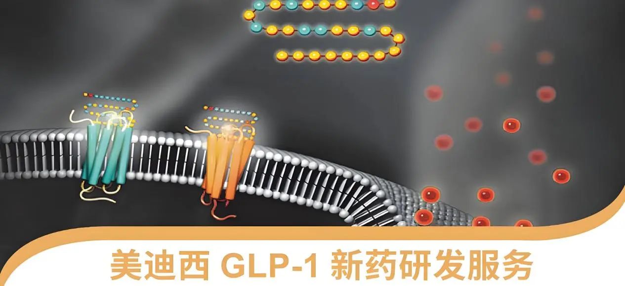 70.5%的成人正在悄悄長(zhǎng)胖！國(guó)家衛(wèi)健委“減肥令”下，GLP-1藥物如何突圍？