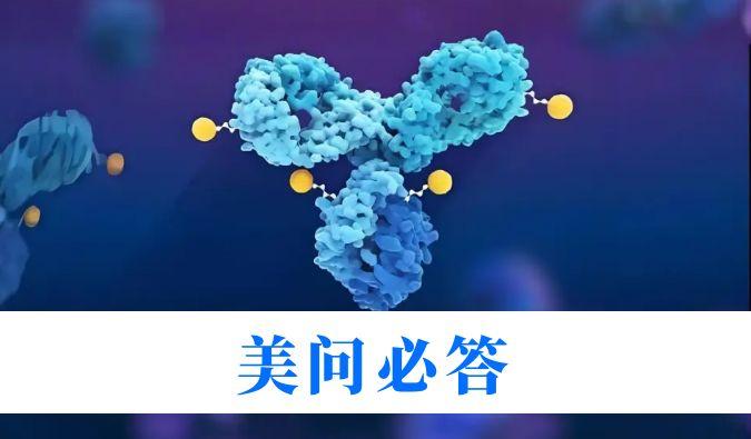 ADC藥物研發(fā)中毒代動(dòng)力學(xué)關(guān)鍵問題解析